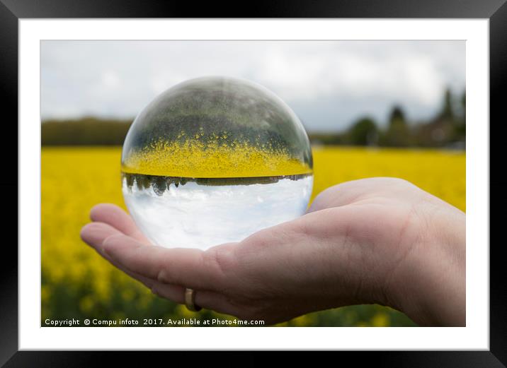Round glass ball rapeseed field Framed Mounted Print by Chris Willemsen