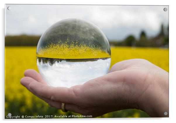 Round glass ball rapeseed field Acrylic by Chris Willemsen