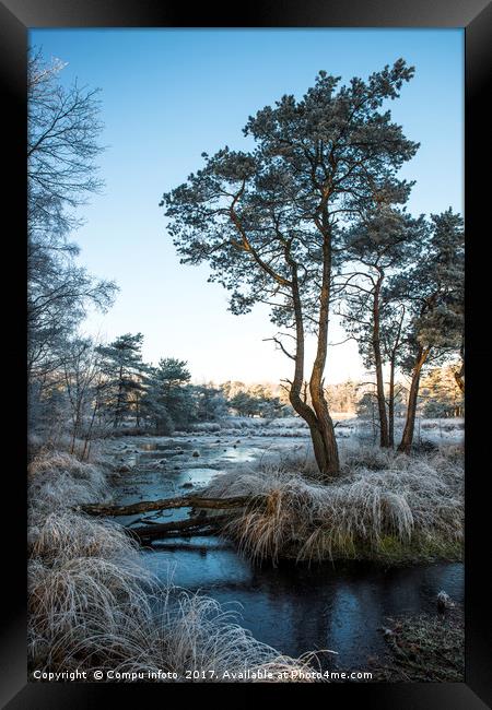 winter landscape with trees and water Framed Print by Chris Willemsen