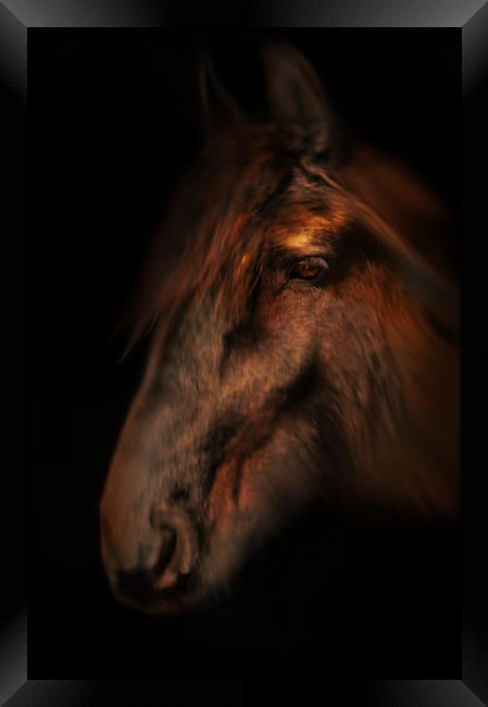 Portrait of a horse Framed Print by Robert Fielding