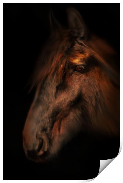 Portrait of a horse Print by Robert Fielding