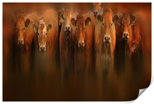 curious cows Print by Robert Fielding