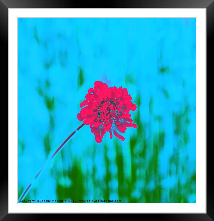 THE RED FLOWER Framed Mounted Print by Jacque Mckenzie