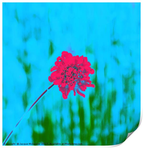 THE RED FLOWER Print by Jacque Mckenzie