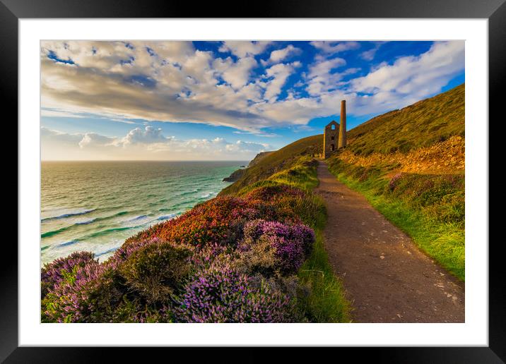 Heather splendour Wheal Coates Framed Mounted Print by Michael Brookes