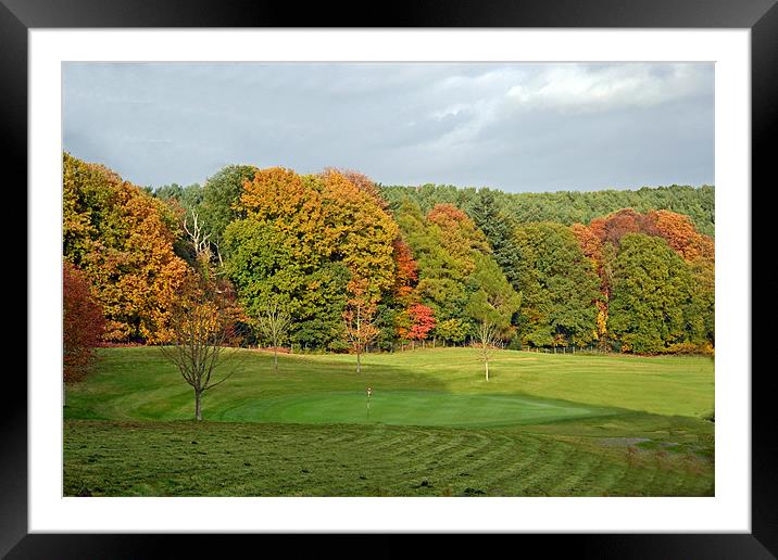 Autumn on the Green at the Rosebowl Framed Mounted Print by Donna Collett