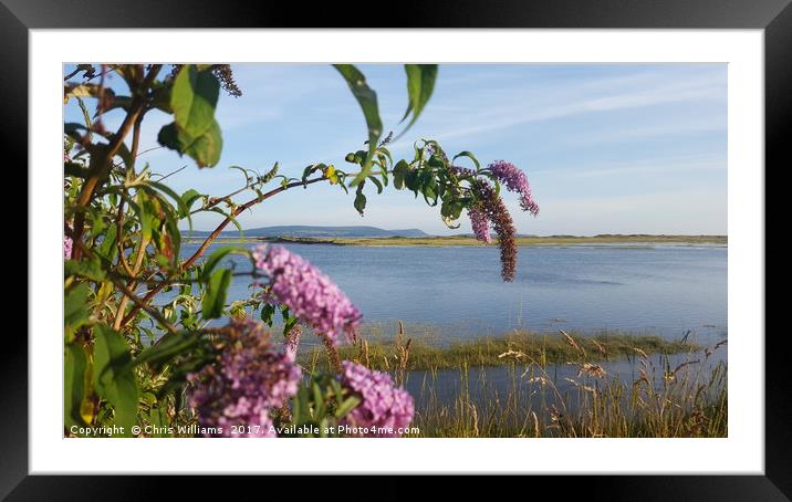 View Through The Butterfly Plant Framed Mounted Print by Chris Williams
