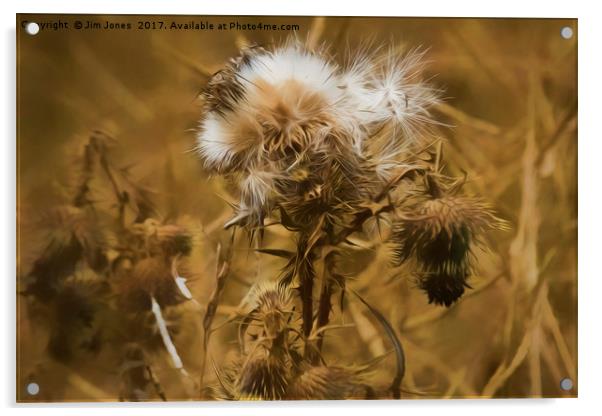 Dead Thistle with pastel filter Acrylic by Jim Jones
