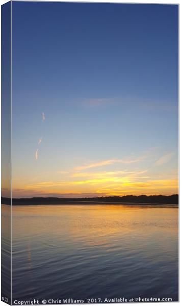 Fire In The Sky Canvas Print by Chris Williams