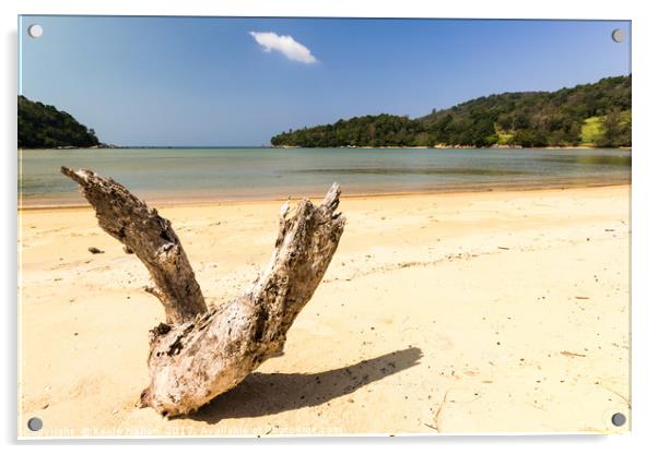 Driftwood on the whote sand beach at Layan, Bang T Acrylic by Kevin Hellon