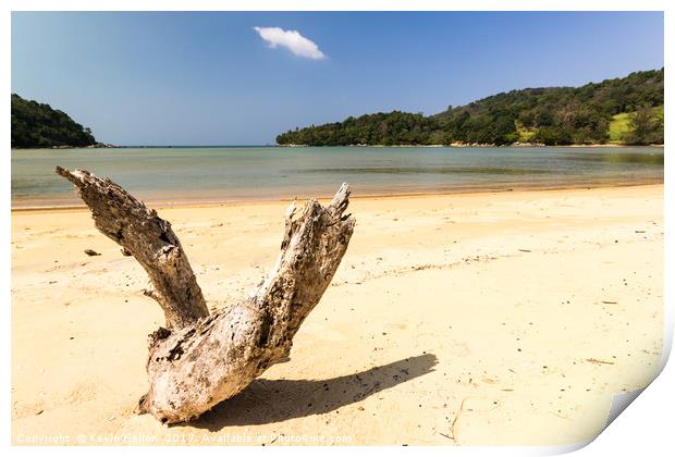 Driftwood on the whote sand beach at Layan, Bang T Print by Kevin Hellon