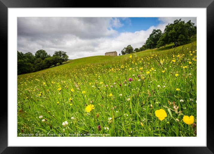 Wharfdale Flower Meadow Framed Mounted Print by Gary Turner