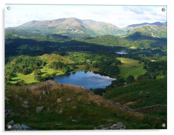 Looking down on Lake Grasmere from Loughrigg fell Acrylic by Hannah Hopton
