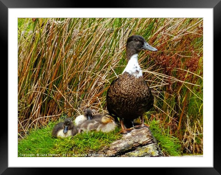              A Proud Mother                   Framed Mounted Print by Jane Metters