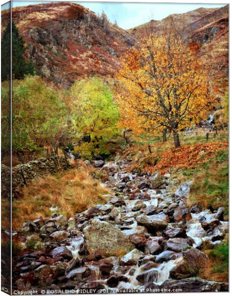 "Mountain stream in the Lakes" Canvas Print by ROS RIDLEY