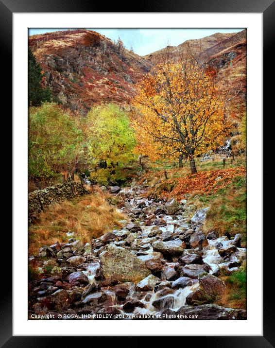 "Mountain stream in the Lakes" Framed Mounted Print by ROS RIDLEY