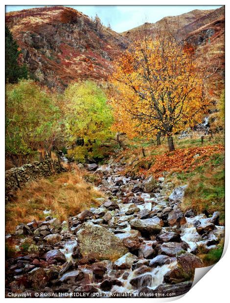 "Mountain stream in the Lakes" Print by ROS RIDLEY