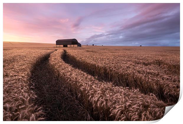 The Barn Print by Chris Frost