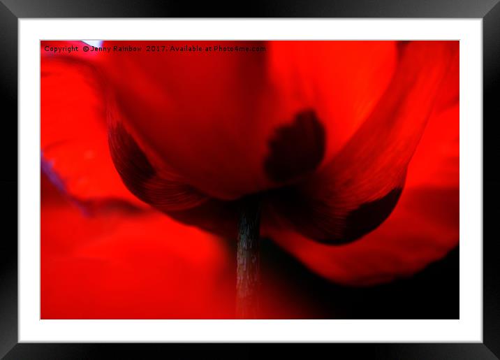 Flaming Red Poppy Framed Mounted Print by Jenny Rainbow