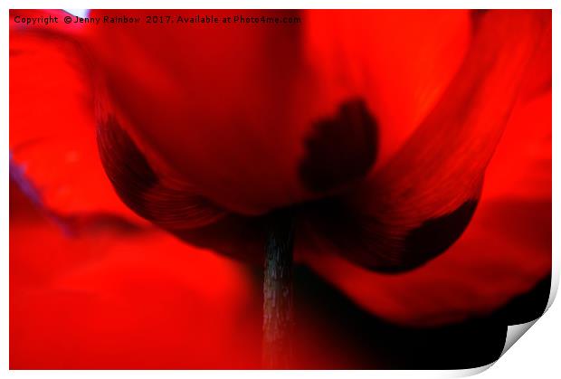 Flaming Red Poppy Print by Jenny Rainbow