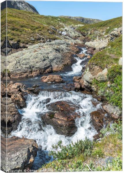 waterfall on the bitihorn track Canvas Print by Chris Willemsen