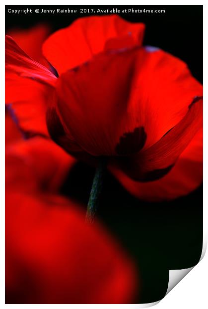 Flaming Red Poppies Print by Jenny Rainbow