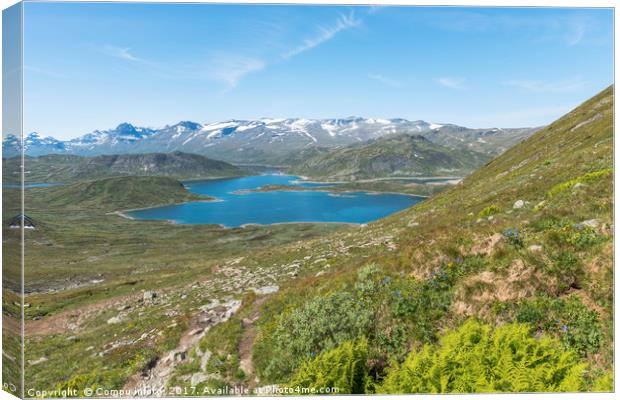 lake in national park in norway Canvas Print by Chris Willemsen