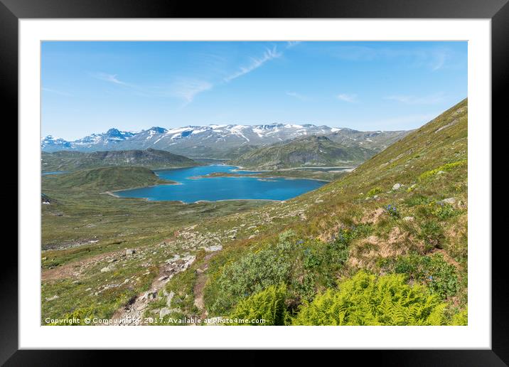 lake in national park in norway Framed Mounted Print by Chris Willemsen