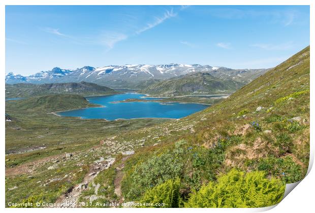 lake in national park in norway Print by Chris Willemsen