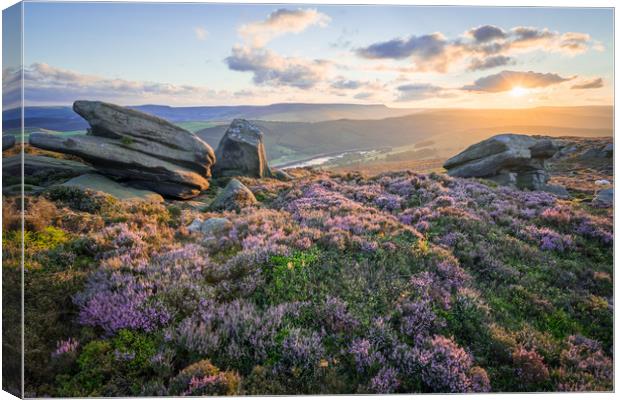 White Tor Heather Sunset Canvas Print by James Grant