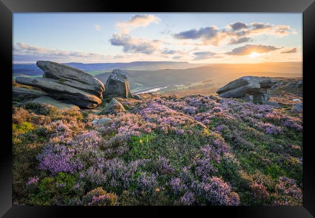 White Tor Heather Sunset Framed Print by James Grant