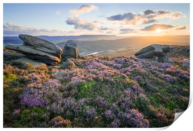 White Tor Heather Sunset Print by James Grant