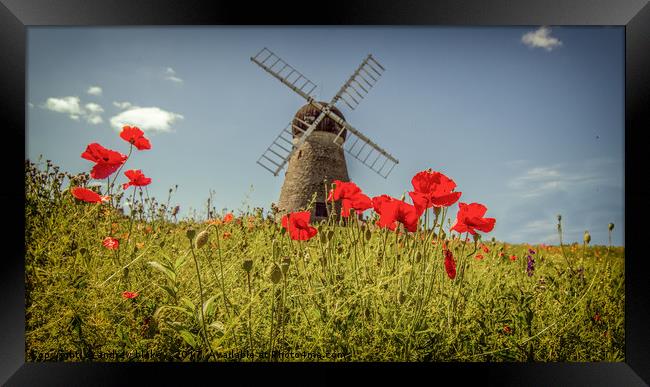 Beauty in the Field Framed Print by andrew blakey