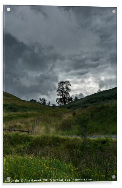 Lone Tree in Wales Acrylic by Ann Garrett
