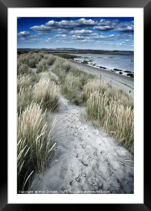 West Wittering Beach Sand Dunes & Grass Framed Mounted Print by Moty Dimant