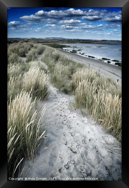 West Wittering Beach Sand Dunes & Grass Framed Print by Moty Dimant
