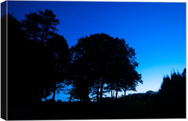 Pembrokeshire Blue Hour, Pembrokeshire, Wales, UK Canvas Print by Mark Llewellyn