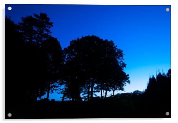 Pembrokeshire Blue Hour, Pembrokeshire, Wales, UK Acrylic by Mark Llewellyn