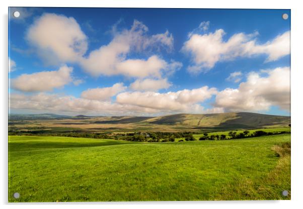 Preseli Mountains, Pembrokeshire, Wales, UK Acrylic by Mark Llewellyn