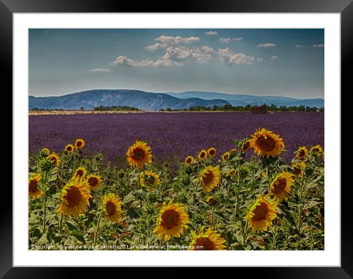 Lavender & Sunflowers, Provence Framed Mounted Print by yvonne & paul carroll