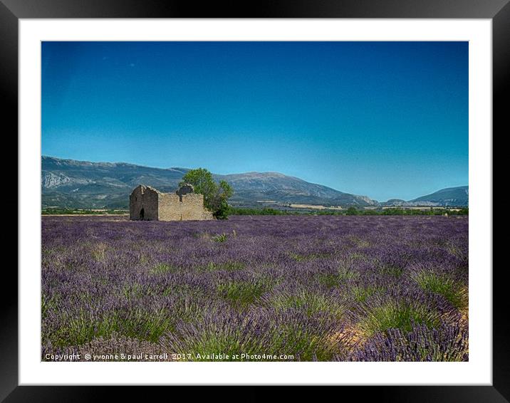 Lavender fields, Provence Framed Mounted Print by yvonne & paul carroll