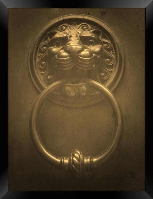 Lion Knocker   Framed Print by Victor Burnside