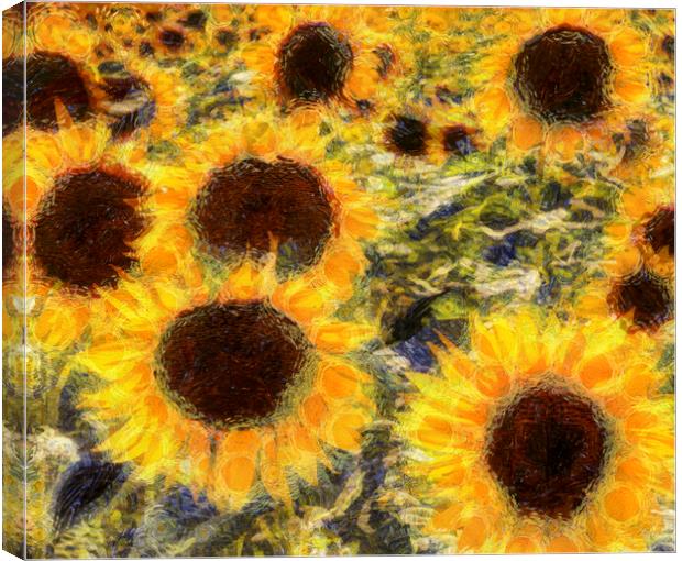 Sunflowers Summer Van Gogh Canvas Print by David Pyatt