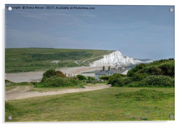 The Seven Sisters and The Cuckmere Valley Acrylic by Diana Mower
