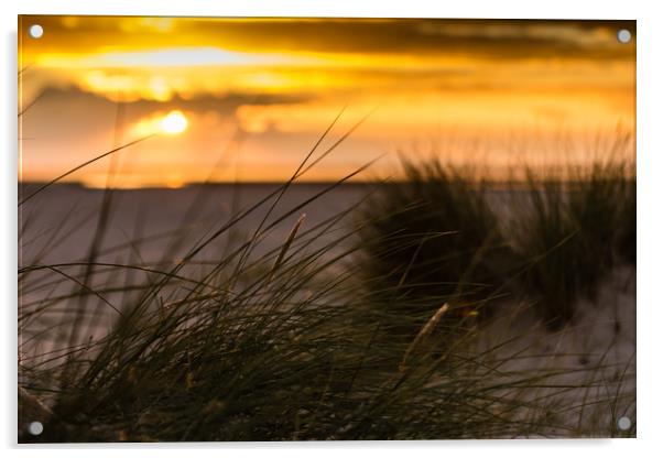 Beach Sunset Acrylic by Simon Wilkinson
