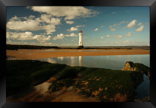 Fort Perch Rock Lighthouse .Reflections. Framed Print by Alexander Pemberton