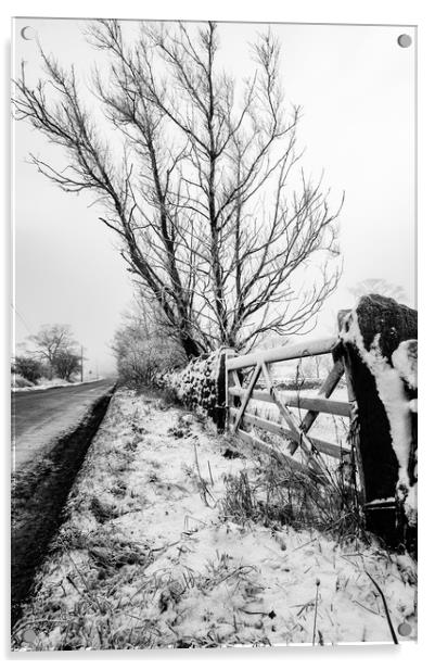 A Winter's Day Acrylic by Simon Wilkinson