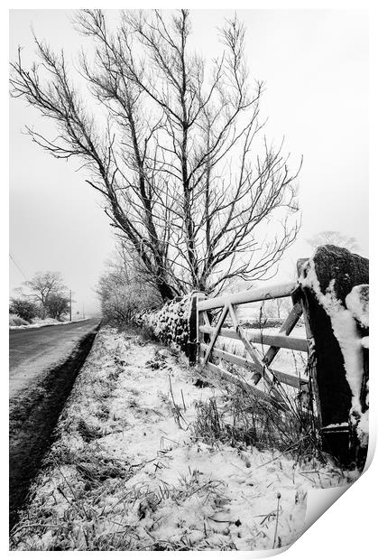 A Winter's Day Print by Simon Wilkinson