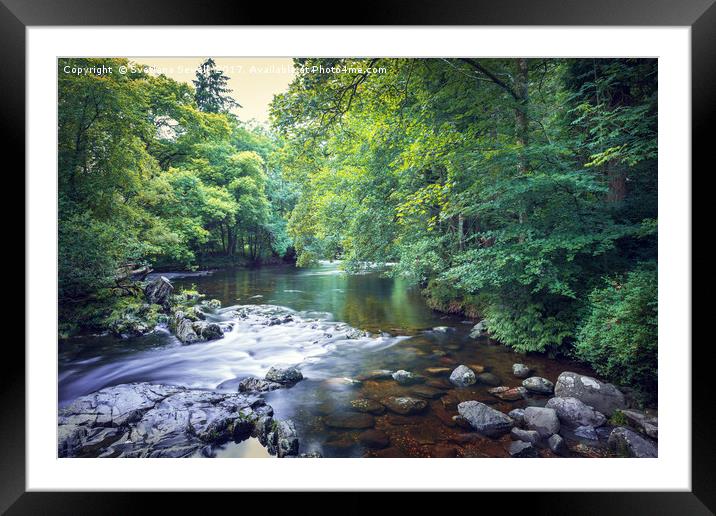 Trees and River Framed Mounted Print by Svetlana Sewell