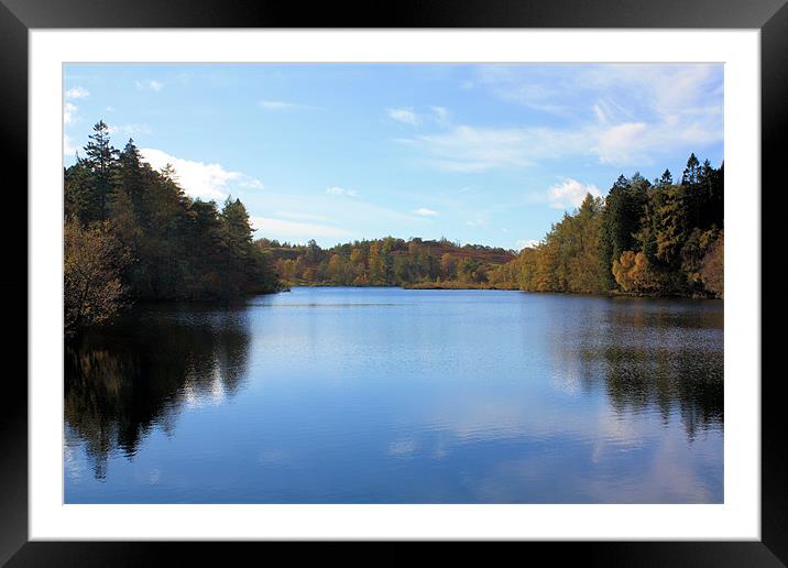 Autumn reflections on Tarn Hows Framed Mounted Print by Catherine Fowler
